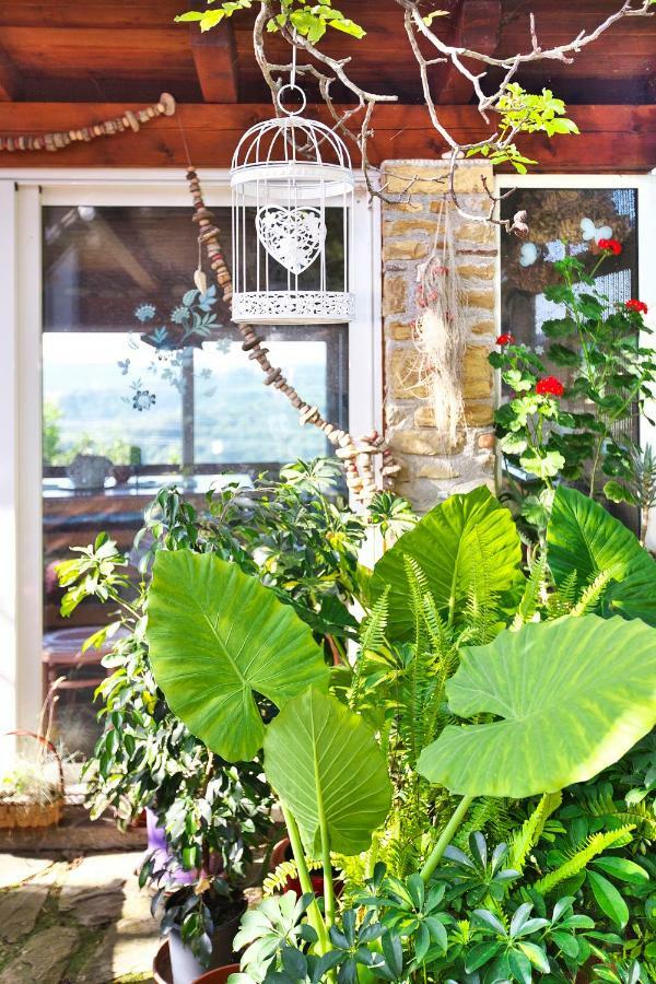 Apartments Baredi イゾラ エクステリア 写真