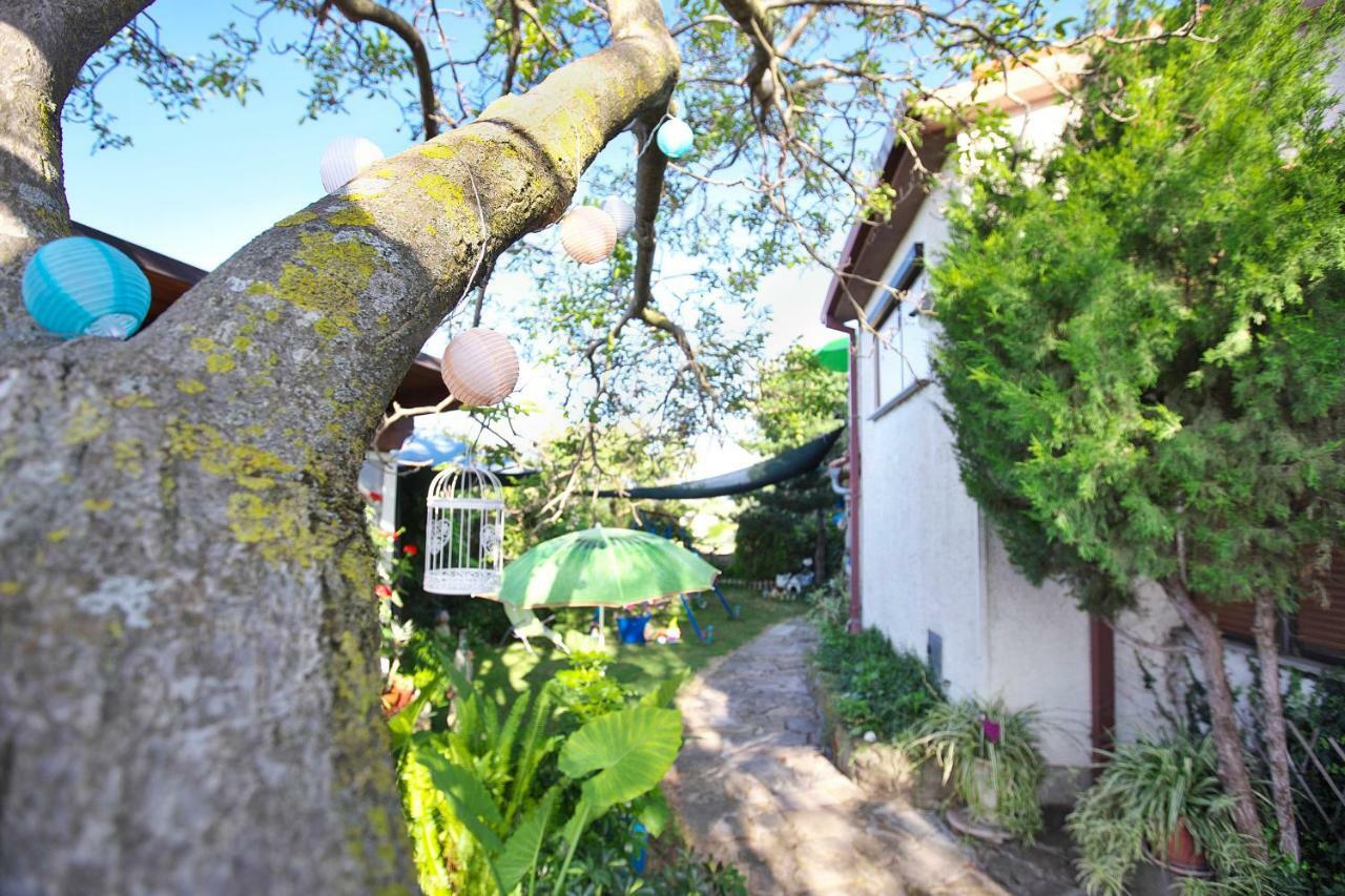 Apartments Baredi イゾラ エクステリア 写真